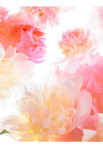 ARTGEIST - Fototapet med farverige blomster - Flere strrelser