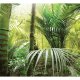 ARTGEIST - Fototapet med motiv fra junglen - Flere strrelser