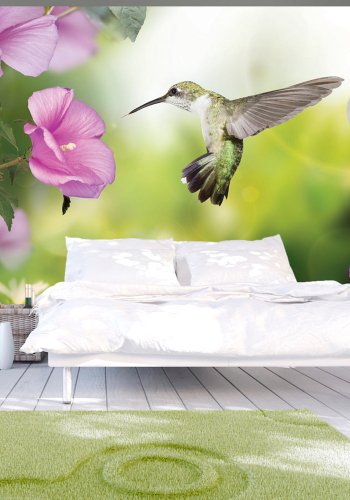 ARTGEIST - Fototapet med kolibri der indsamler nektar fra blomst - Flere strrelser