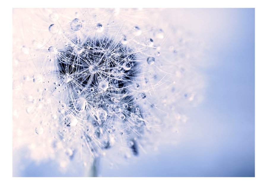 ARTGEIST fototapet - Etheric Morning Mlkebtte med drber (flere strrelser)