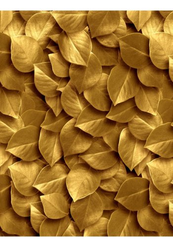 ARTGEIST fototapet - Golden Leaves, gyldne blade (flere strrelser)