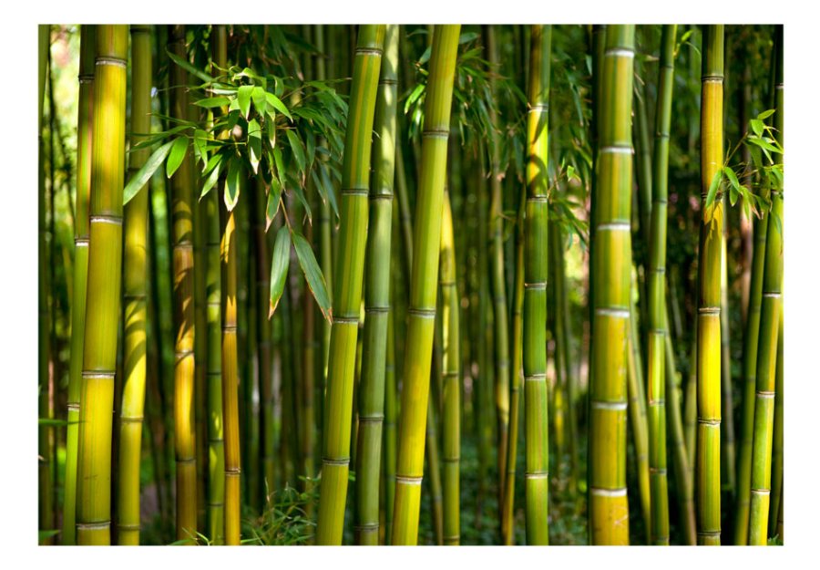 ARTGEIST fototapet - Oriental Garden