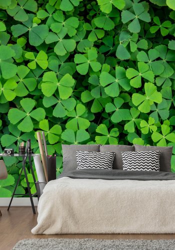 ARTGEIST Fototapet - Green Clover, klevrmark (flere strrelser)