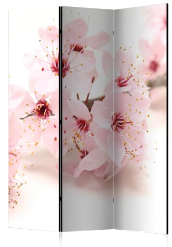 ARTGEIST Cherry Blossom rumdeler - Lyserd blomstermotiv (172x135)