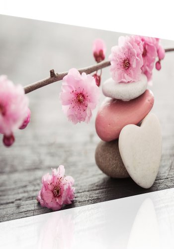 ARTGEIST Zen: Cherry Blossoms IV - Billede med kirsebrblomster trykt p lrred - Flere strrelser