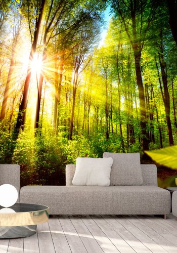 ARTGEIST fototapet - Forest Hideout, smuk skov (flere strrelser)