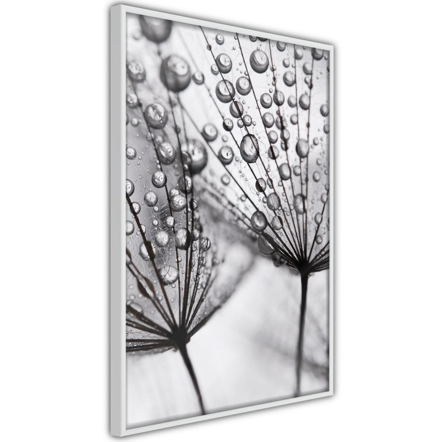ARTGEIST Plakat med ramme - Dew in the Macro Scale