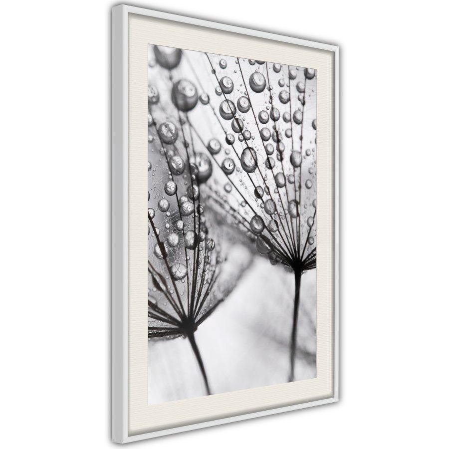 ARTGEIST Plakat med ramme - Dew in the Macro Scale
