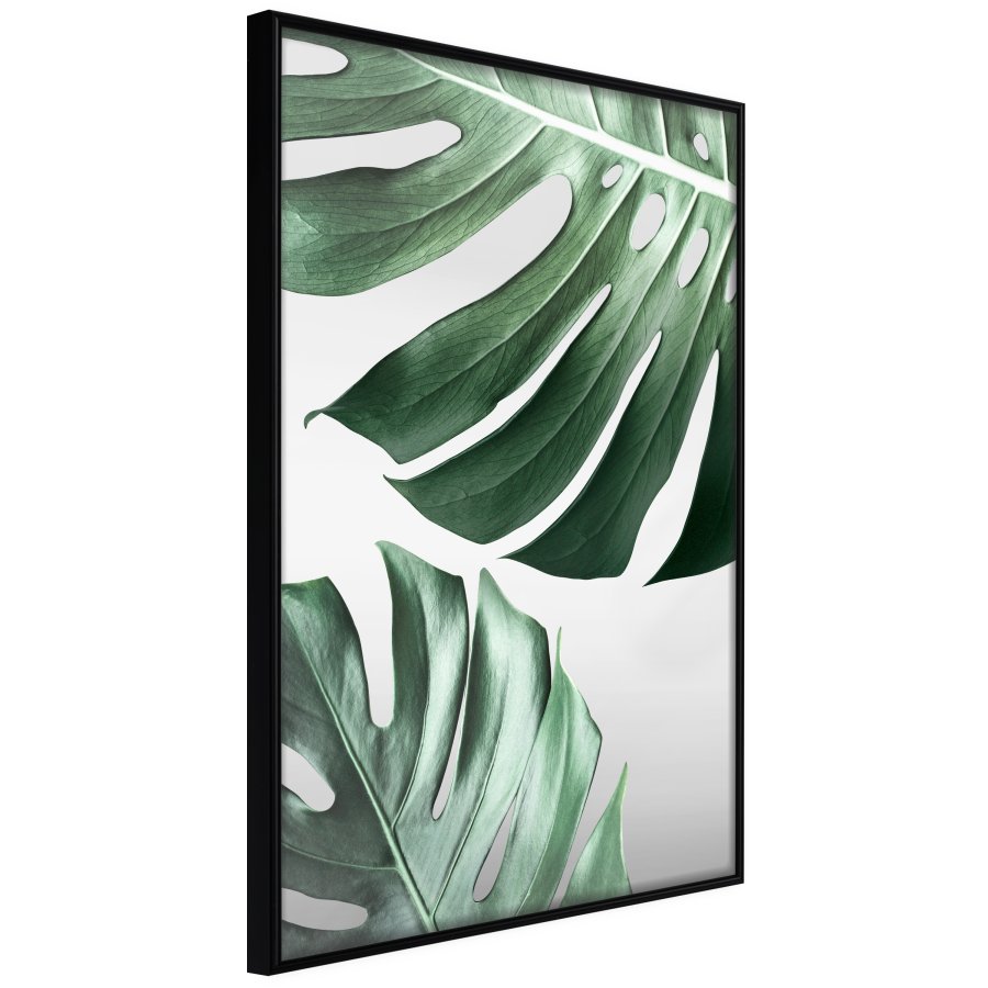 ARTGEIST Plakat med ramme - Leaves Like Swiss Cheese