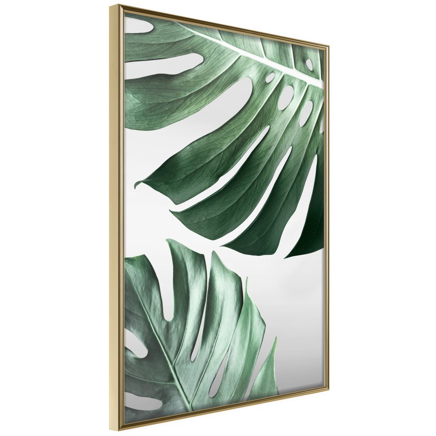 ARTGEIST Plakat med ramme - Leaves Like Swiss Cheese