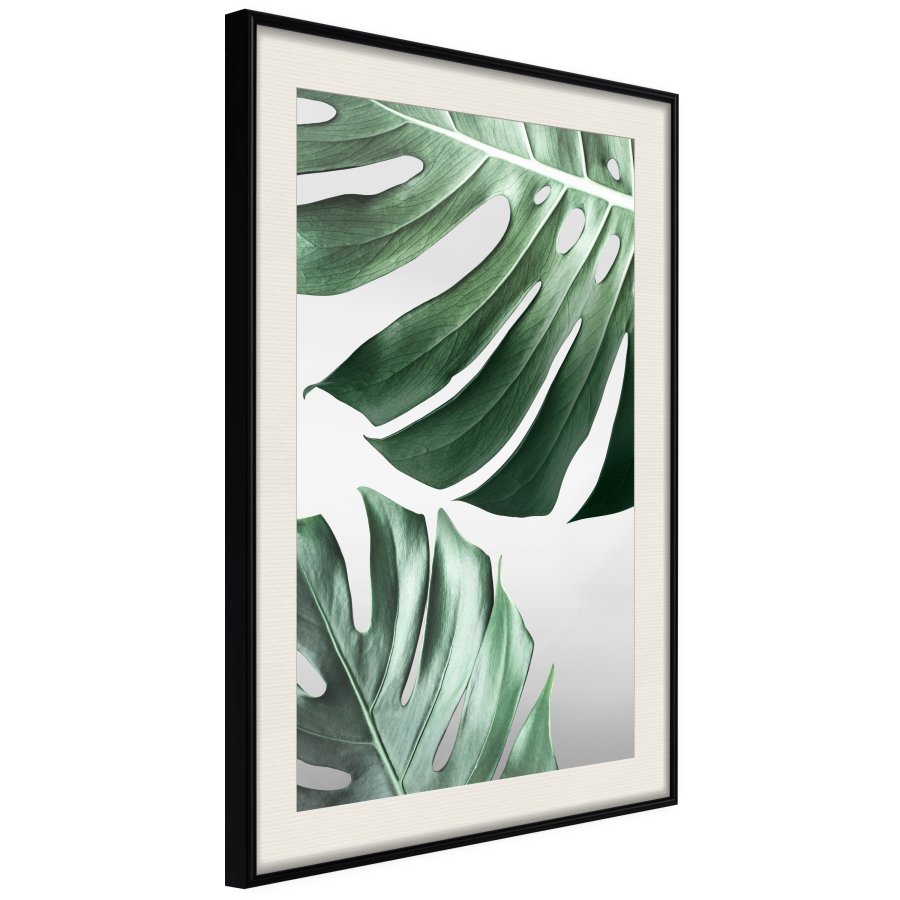 ARTGEIST Plakat med ramme - Leaves Like Swiss Cheese