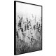 ARTGEIST Plakat med ramme - Shadow of Meadow