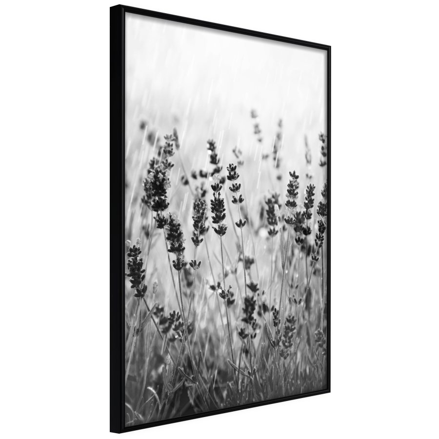ARTGEIST Plakat med ramme - Shadow of Meadow