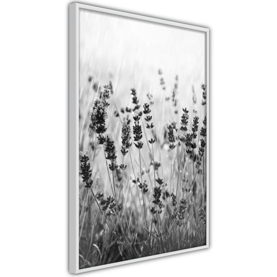 ARTGEIST Plakat med ramme - Shadow of Meadow