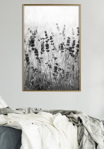 ARTGEIST Plakat med ramme - Shadow of Meadow