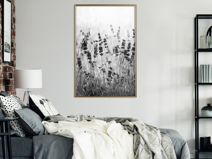 ARTGEIST Plakat med ramme - Shadow of Meadow