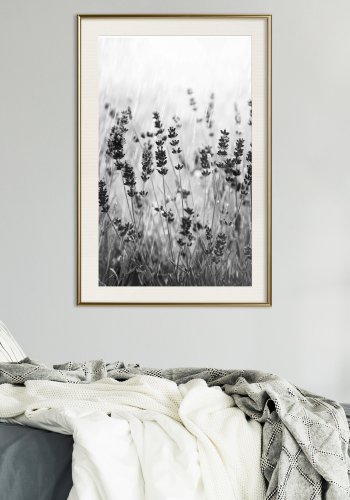 ARTGEIST Plakat med ramme - Shadow of Meadow