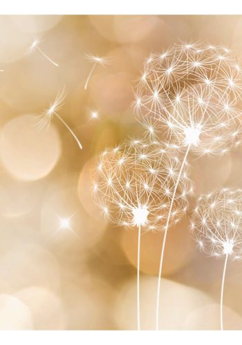 ARTGEIST Fototapet - Touch of Summer, sommerlige mlkebtter (flere strrelser)