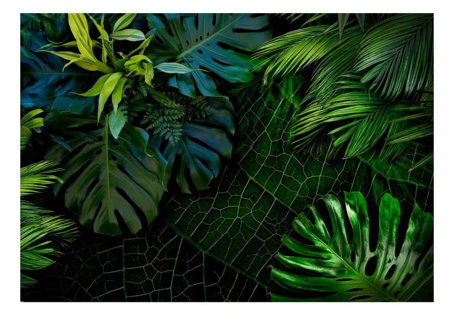 ARTGEIST Fototapet - Dark Jungle, jungleplanter (flere strrelser) 