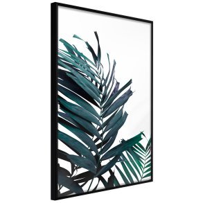 ARTGEIST Plakat med ramme - Evergreen Palm Leaves