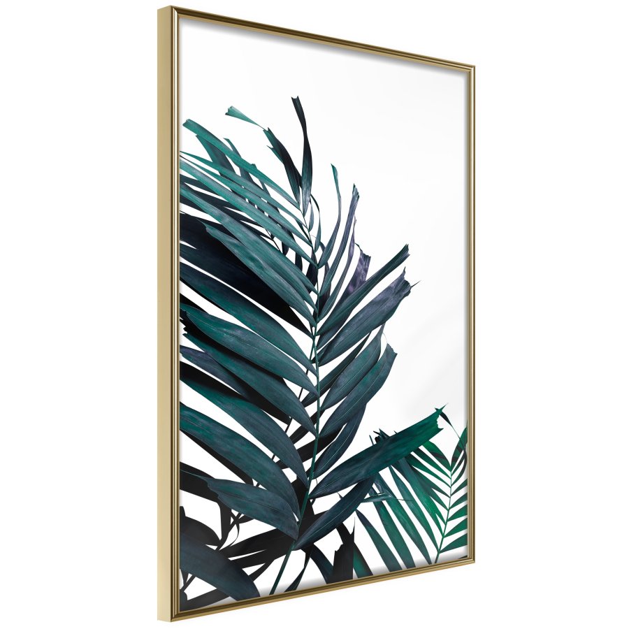 ARTGEIST Plakat med ramme - Evergreen Palm Leaves