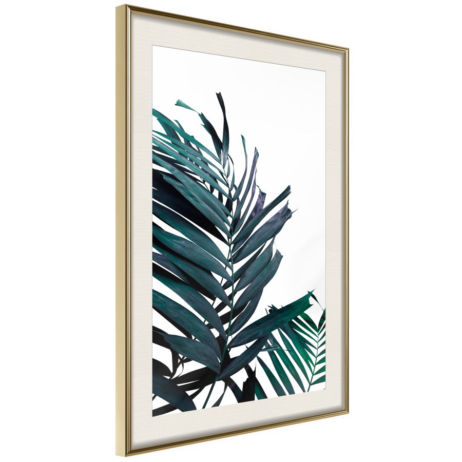 ARTGEIST Plakat med ramme - Evergreen Palm Leaves