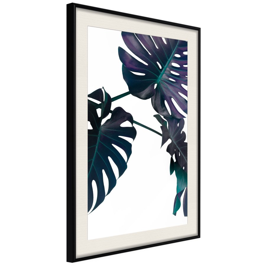 ARTGEIST Plakat med ramme - Evergreen Monstera