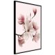 ARTGEIST Plakat med ramme - Blooming Magnolias I