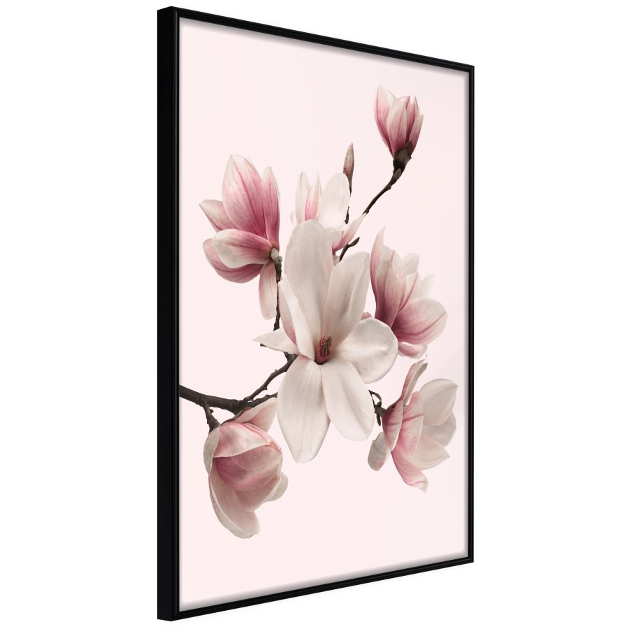 ARTGEIST Plakat med ramme - Blooming Magnolias I