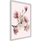 ARTGEIST Plakat med ramme - Blooming Magnolias I
