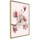 ARTGEIST Plakat med ramme - Blooming Magnolias I