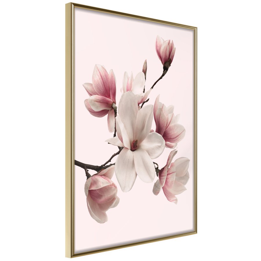 ARTGEIST Plakat med ramme - Blooming Magnolias I