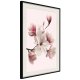 ARTGEIST Plakat med ramme - Blooming Magnolias I