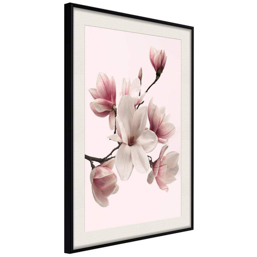 ARTGEIST Plakat med ramme - Blooming Magnolias I