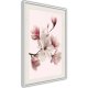 ARTGEIST Plakat med ramme - Blooming Magnolias I