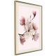 ARTGEIST Plakat med ramme - Blooming Magnolias I