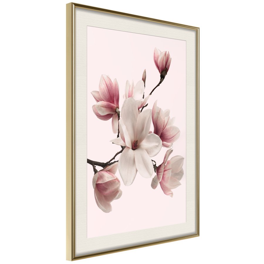 ARTGEIST Plakat med ramme - Blooming Magnolias I