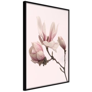 ARTGEIST Plakat med ramme - Blooming Magnolias II