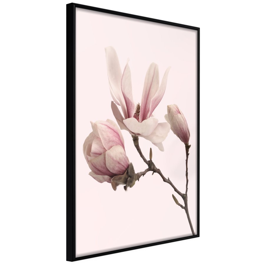 ARTGEIST Plakat med ramme - Blooming Magnolias II