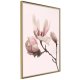 ARTGEIST Plakat med ramme - Blooming Magnolias II