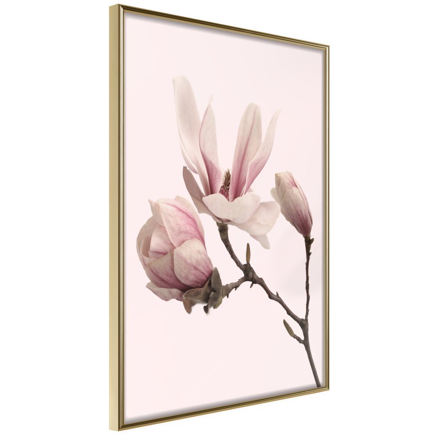 ARTGEIST Plakat med ramme - Blooming Magnolias II