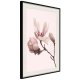 ARTGEIST Plakat med ramme - Blooming Magnolias II