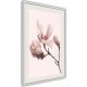 ARTGEIST Plakat med ramme - Blooming Magnolias II