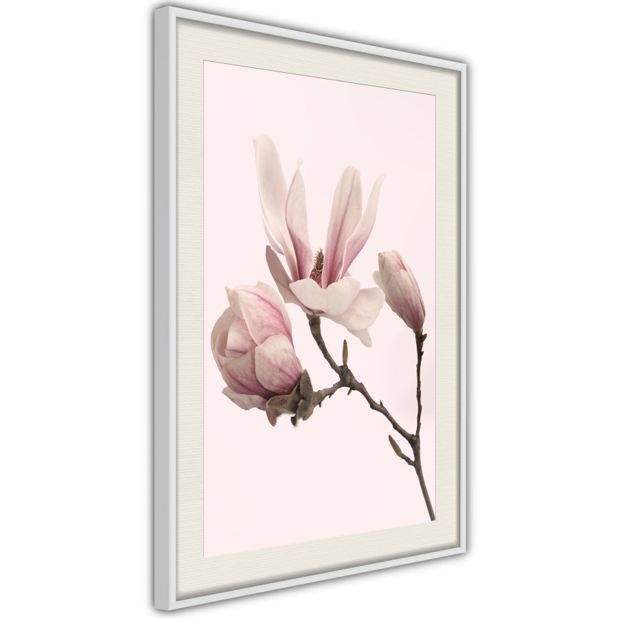 ARTGEIST Plakat med ramme - Blooming Magnolias II