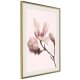 ARTGEIST Plakat med ramme - Blooming Magnolias II