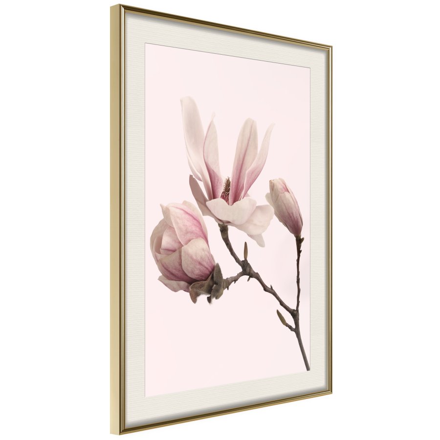 ARTGEIST Plakat med ramme - Blooming Magnolias II