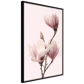 ARTGEIST Plakat med ramme - Blooming Magnolias III