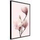 ARTGEIST Plakat med ramme - Blooming Magnolias III
