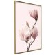 ARTGEIST Plakat med ramme - Blooming Magnolias III
