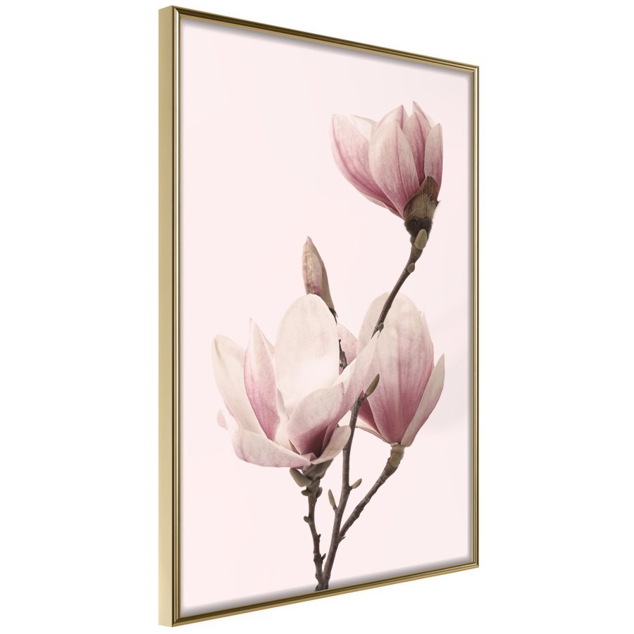 ARTGEIST Plakat med ramme - Blooming Magnolias III